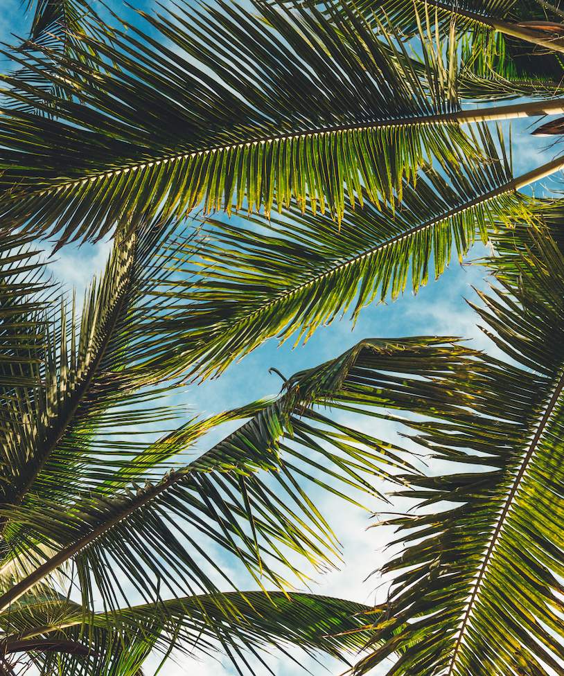 The Best Sustainable Beauty brands